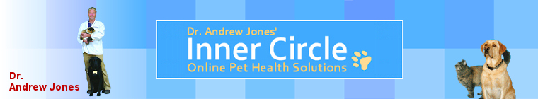 Heal Your Pets at home - Dr. Andrew Jones, The Online Vet