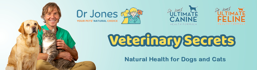 Dr. Andrew Jones DVM: Your Pet's Natural Choice